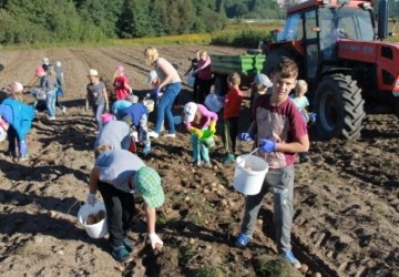 Udane wykopki w Szkole Podstawowej Nr 3 w Gołdapi