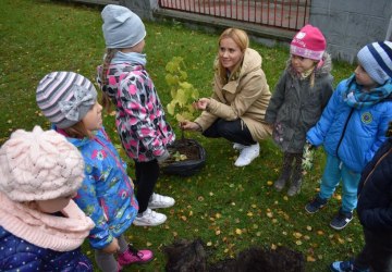 Święto Drzewa w Przedszkolu Samorządowym