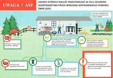 Zagrożenie Afrykańskim Pomorem Świń