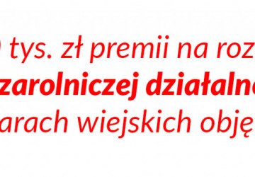 Do 250 tys. zł premii na rozpoczęcie pozarolniczej działalności na obszarach wiejskich objętych ASF