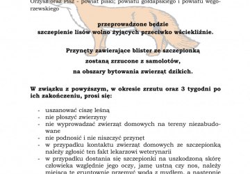 Szczepienie lisów przeciwko wściekliźnie