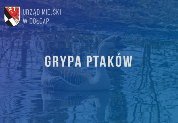 Grypa ptaków