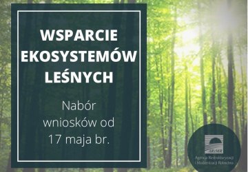 Zachować las w dobrej kondycji - rusza pomoc na inwestycje w ekosystemy leśne