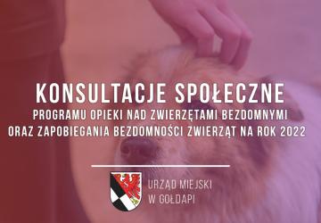 Konsultacje społeczne Programu opieki nad zwierzętami bezdomnymi oraz zapobiegania bezdomności zwierząt na rok 2022