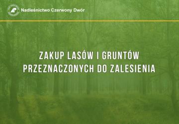 Zakup lasów i gruntów przeznaczonych do zalesienia