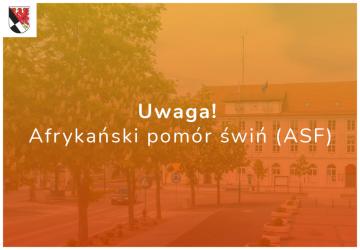 Uwaga! Afrykański pomór świń (ASF)