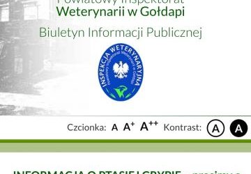 INFORMACJA O PTASIEJ GRYPIE – prosimy o zachowanie szczególnej ostrożności