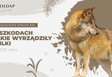 Sporządzenie oświadczeń o szkodach, jakie wyrządziły wilki w 2023 roku